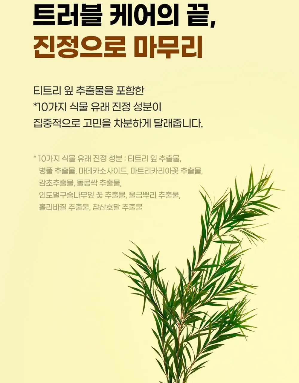 [트러블/과잉피지완화]앰플엔 아크네샷 앰플 30ml 상세페이지 21